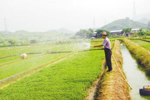 沃爾瑪在塘廈建立東莞首個農超對接基地，新鮮蔬菜直供零售