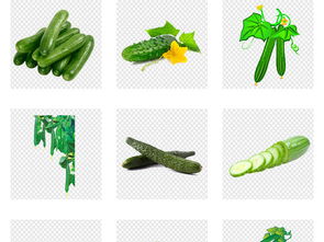 新鮮有機(jī)蔬菜 黃瓜海報(bào)詳情頁素材及模板一站式下載指南