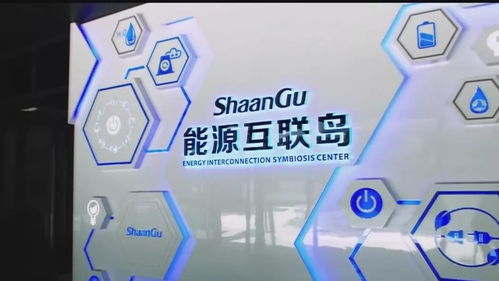 從賣產品到賣服務 陜鼓經驗的生物技術推廣服務煉成之路